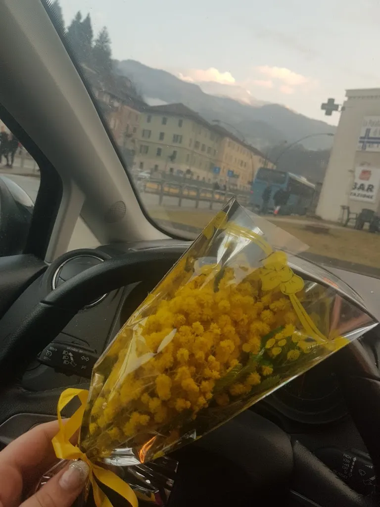 Erika Previtali_Bar Stazione Ponte Nossa_Ponte Nossa_review