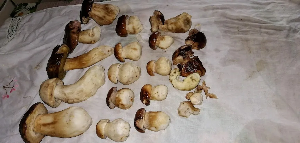 Menu_Maggese_Ponteranica_image_8