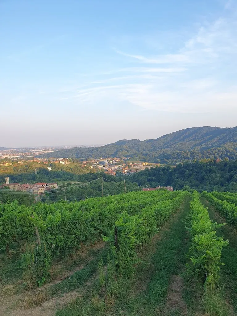 Daniele Arrigoni_Osteria Nettare dei Santi_Pontida_review