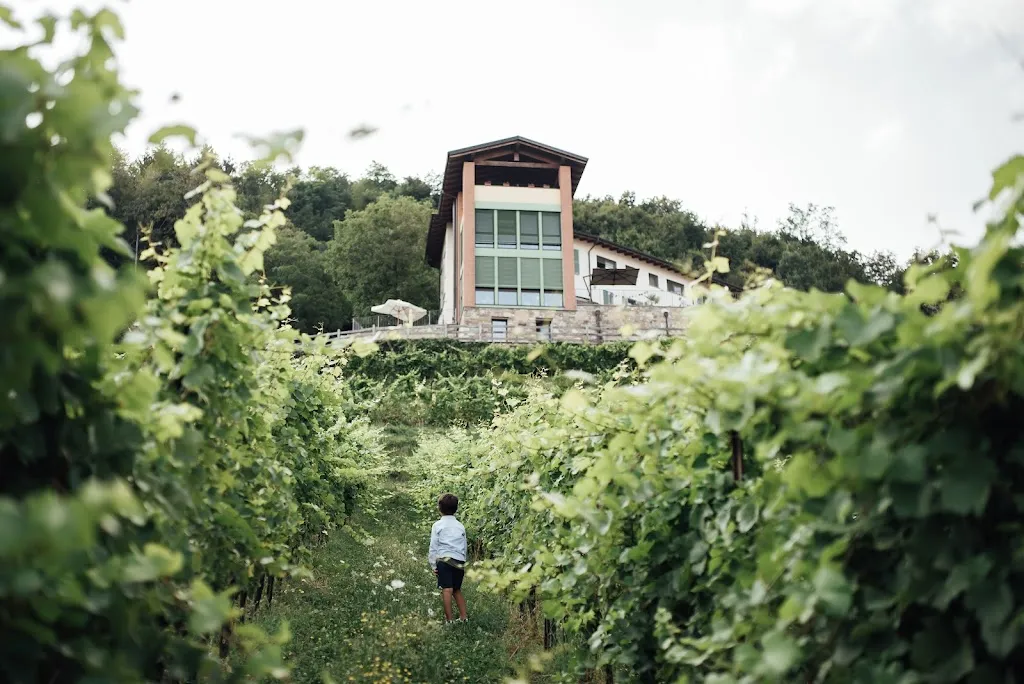 Polisena L'Altro Agriturismo Veg ristorante a Pontida