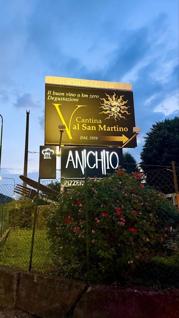 Vanessa Pesenti_Anchio Pizzeria Griglieria_Pontida_review