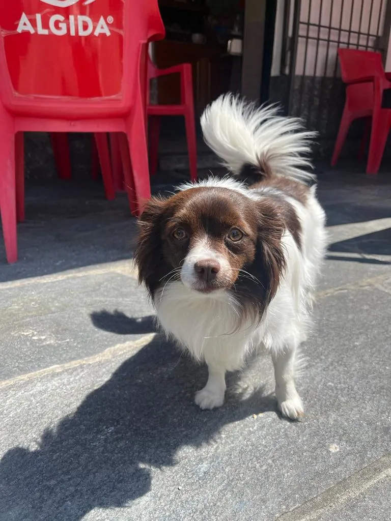 Gian Pietro Burraschini_Prada Cafe' TRATTORIA casareccia_Pradalunga_review