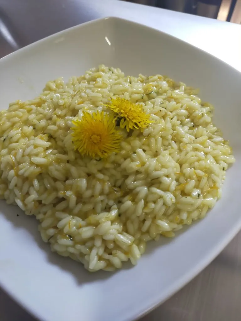 Menu_Agriturismo Colli Storici_Pozzolengo_immagine_4