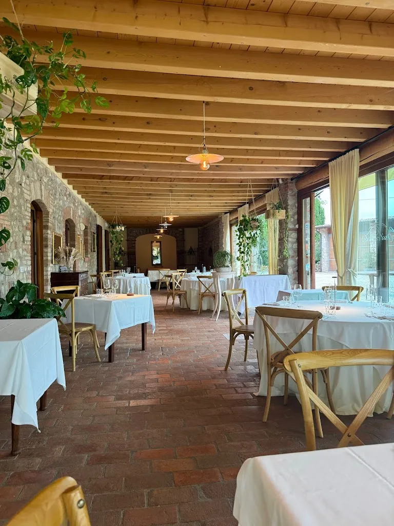 Danko Vukovic_Fenil Conter_Pozzolengo_review