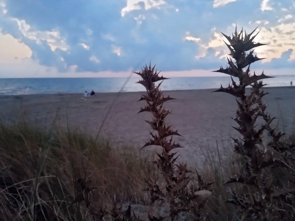 Manuele Belotti_Il Chiosco Parco di Premenugo_Premenugo_recensione