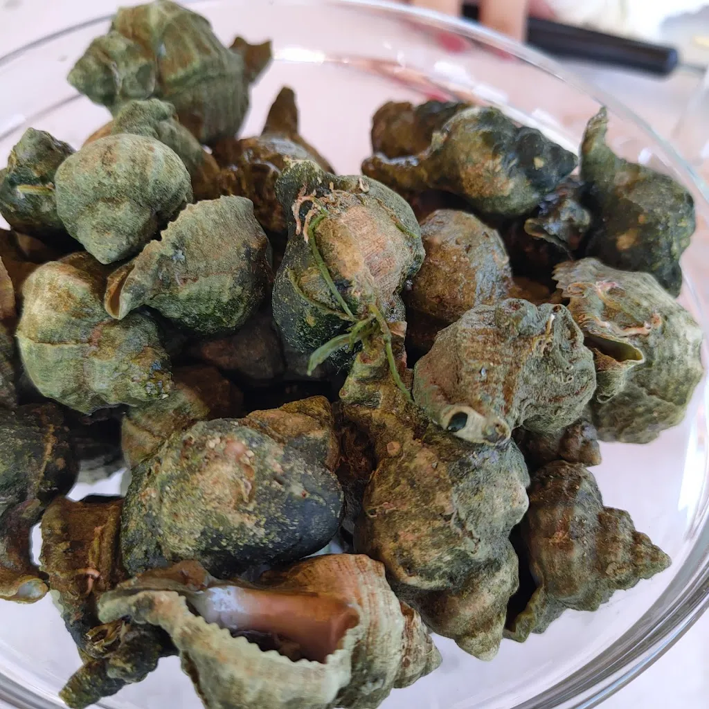 Menu_Oasi Gargamelle Ittiturismo_Cagnano Varano_image_9