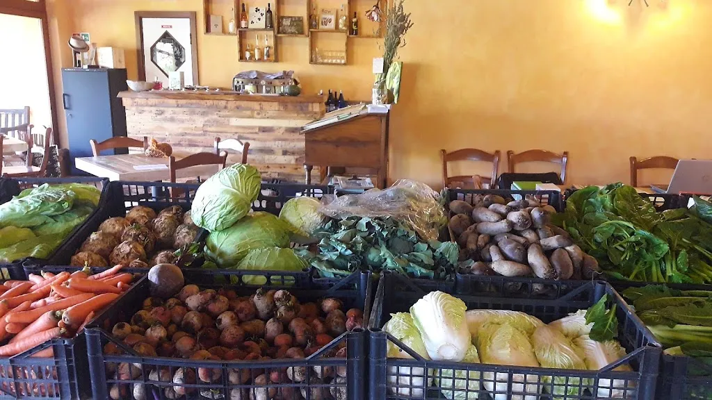 Orti del Monte - azienda agricola_Provaglio Val Sabbia_slider_image_3