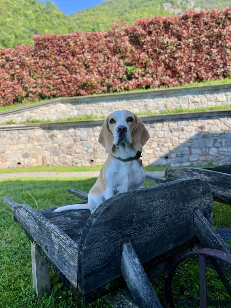 Florian Vogel_Alla Vecchia Contrada B&B_Provaglio Val Sabbia_review