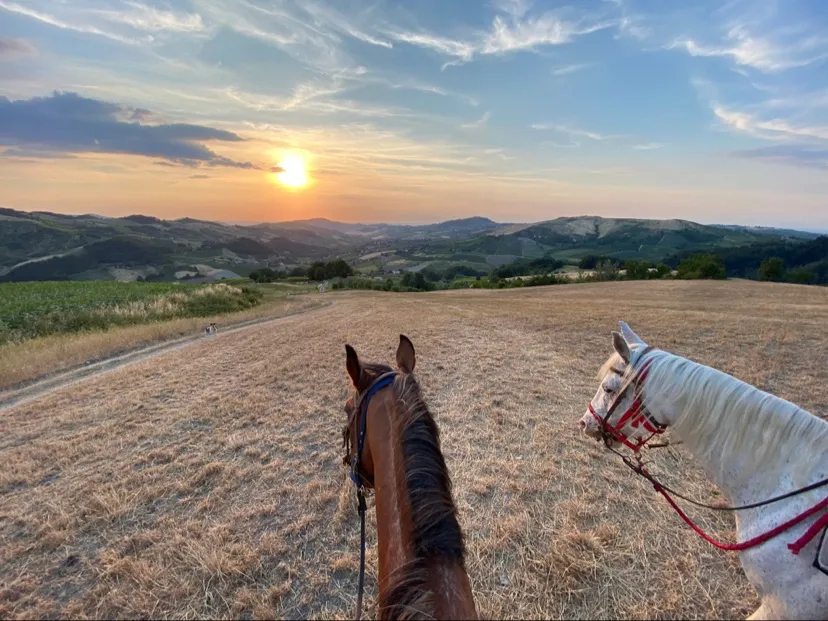 Anna Srutova_Agriturismo Tarantani_Pregola_recensione