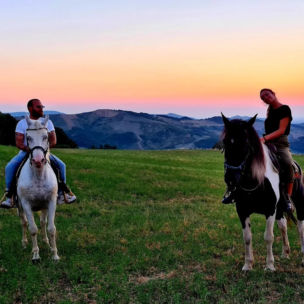 snake vintageitaly_Agriturismo Tarantani_Pregola_recensione
