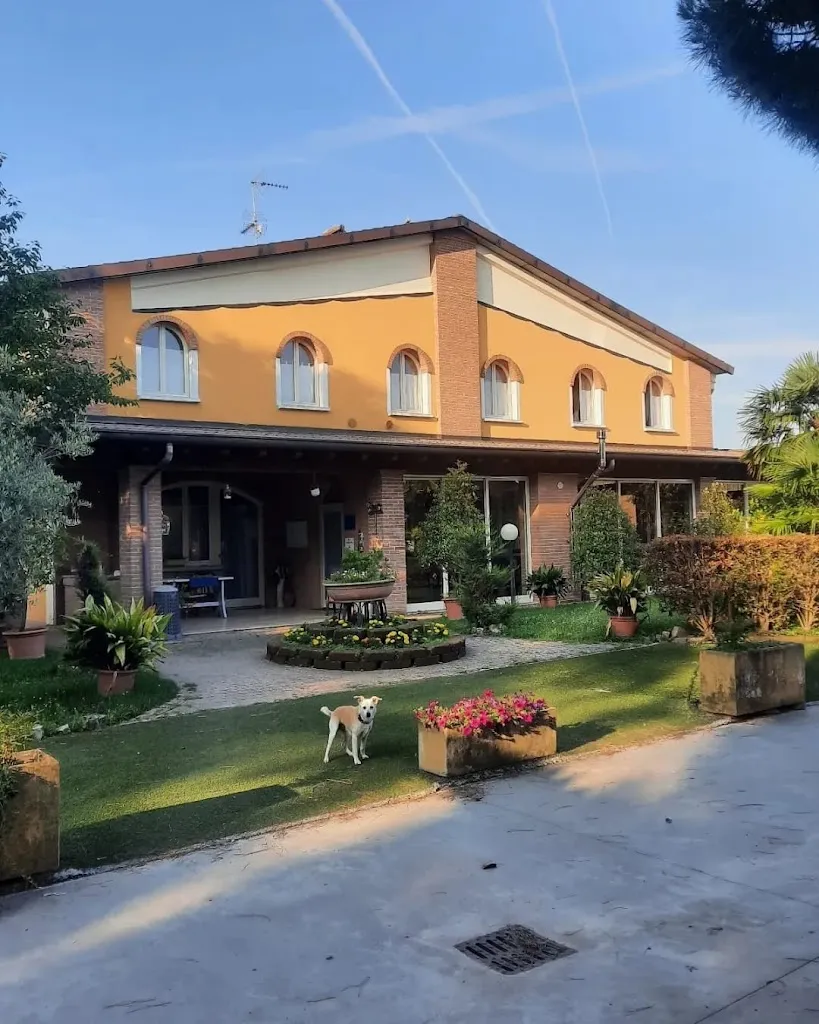 Equi.Care ASD - Centro Equestre_Pumenengo_slider_image_3