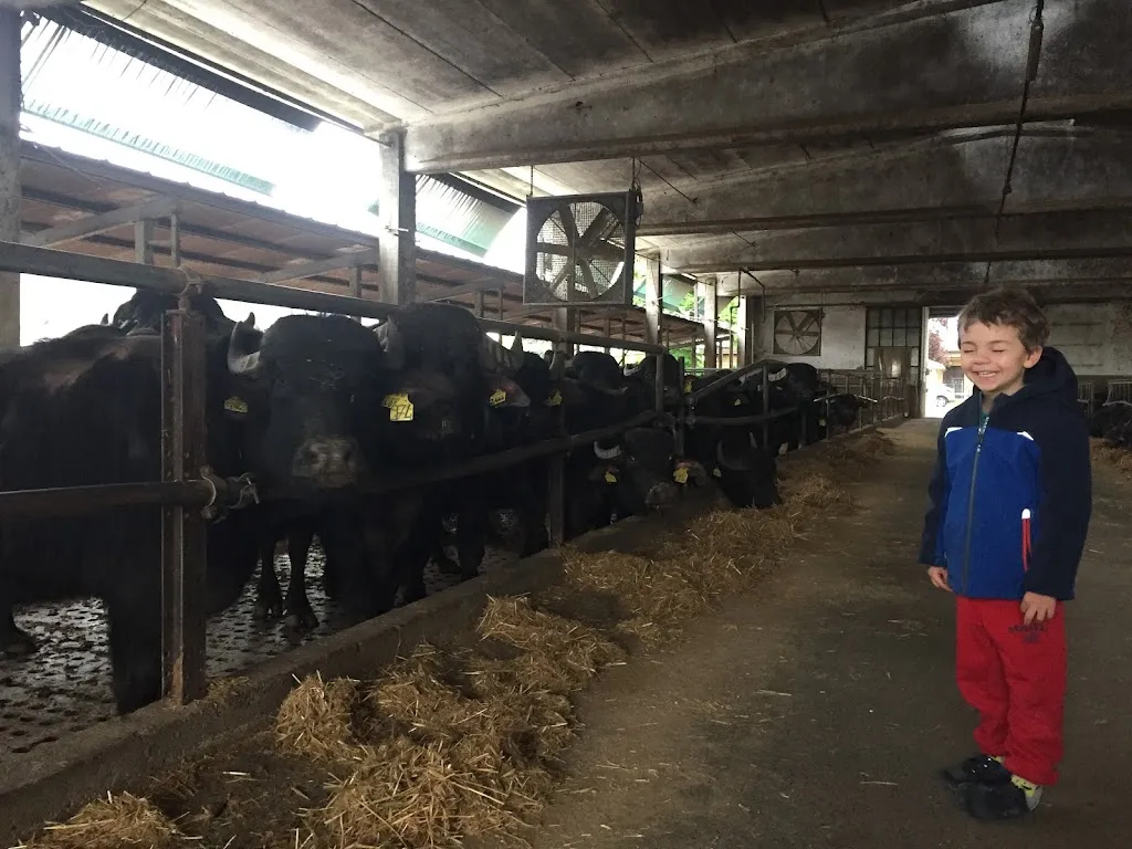 Azienda Agricola Gorbani_Pumenengo_slider_image_3