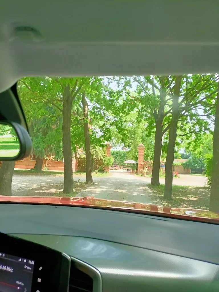 Alice nel paese delle meraviglie_Ristorante all'Angelo_Quistello_review