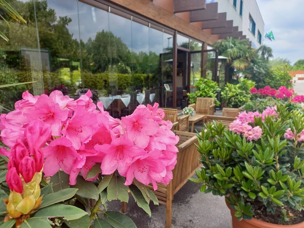 TEKNA CAFÈ_Renate_slider_image_3