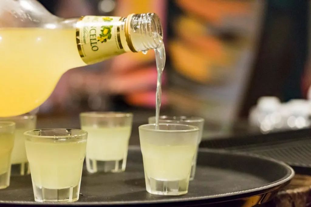 Menu_Antica Pizzeria Santi_Rivolta d'Adda_immagine_9