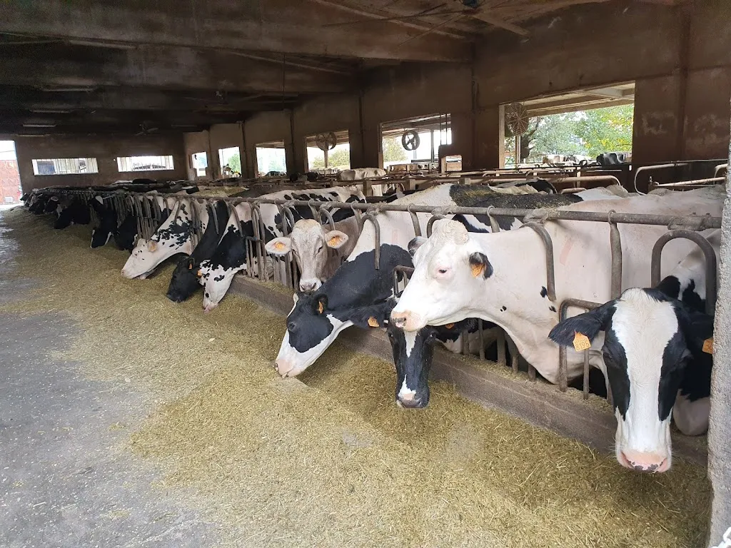 Fattoria Dassogno restaurant in Rogeno