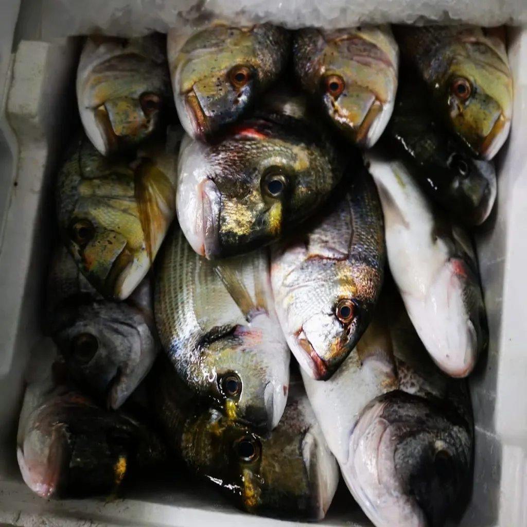 Menu_Secca 48_Brindisi_image_5