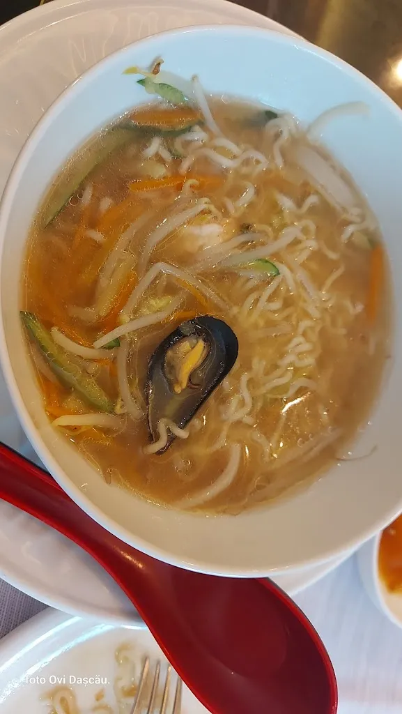 Menu_SUSHI ZY RISTORANTE GIAPPONESE GRIGLIA CINESE_Rogno_image_9