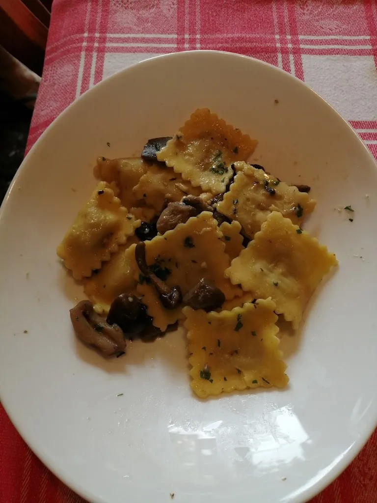 Silvana Girella_Ristorante Il Nuovo Sorriso_Roncaro_review