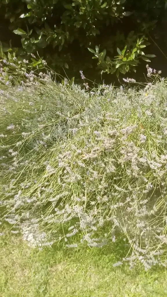 Rifugio Escursionistico La Valle Del Drago_Roncobello_slider_image_1