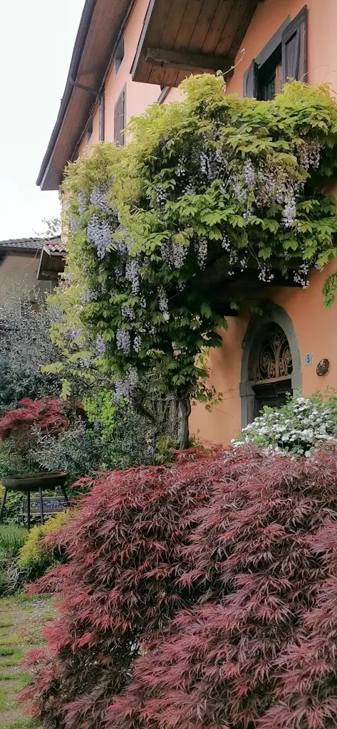 Ristorante Belvedere - Roncola_Roncola_slider_image_2