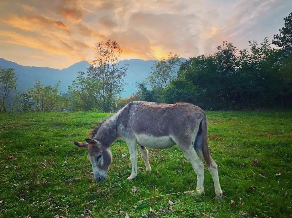 Agriturismo Linda_Rota d'Imagna_slider_image_3