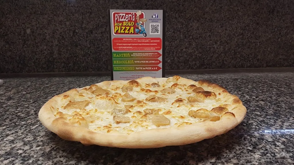 Menu_Non Solo Pizza_Romano di Lombardia_image_9