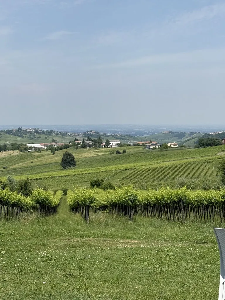 shelly rp_Ristorante Vino dei Frati di Beatrice Gauna & C. Sas_Rovescala_review