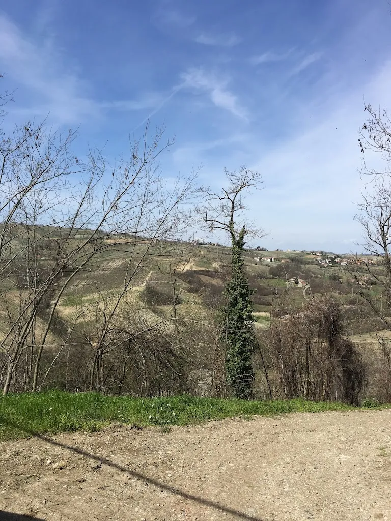 Marco A_Ristorante Vino dei Frati di Beatrice Gauna & C. Sas_Rovescala_review