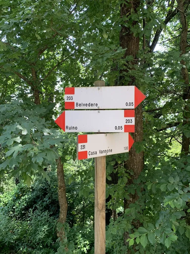 Federico Bosisio_AZ.AGR.WILDMANN_Ruino_review