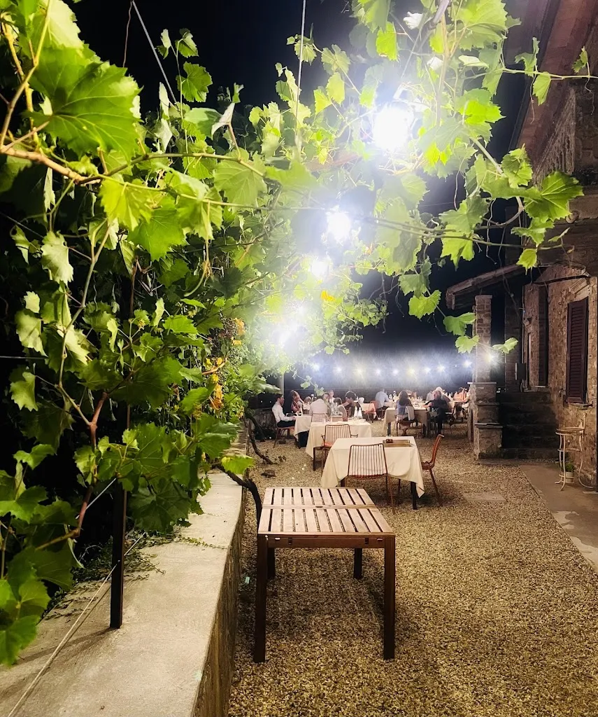 Melissa_AZ.AGR.WILDMANN_Ruino_review