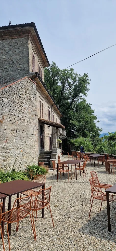 Franco Castoldi_AZ.AGR.WILDMANN_Ruino_review