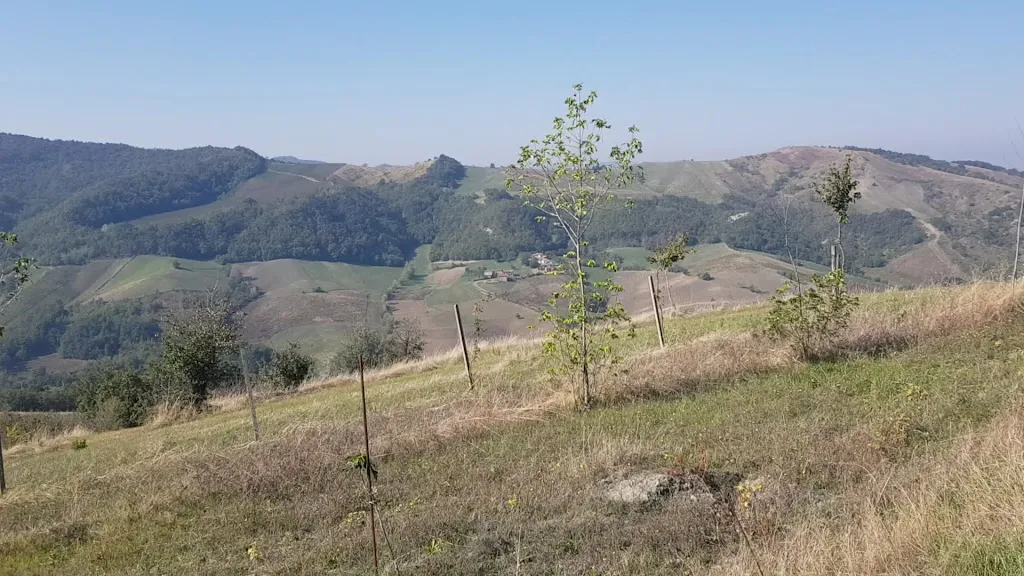 Agriturismo Fraschini_Ruino_slider_image_2