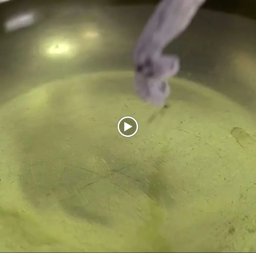 Cozza Nera_Brindisi_slider_image_2