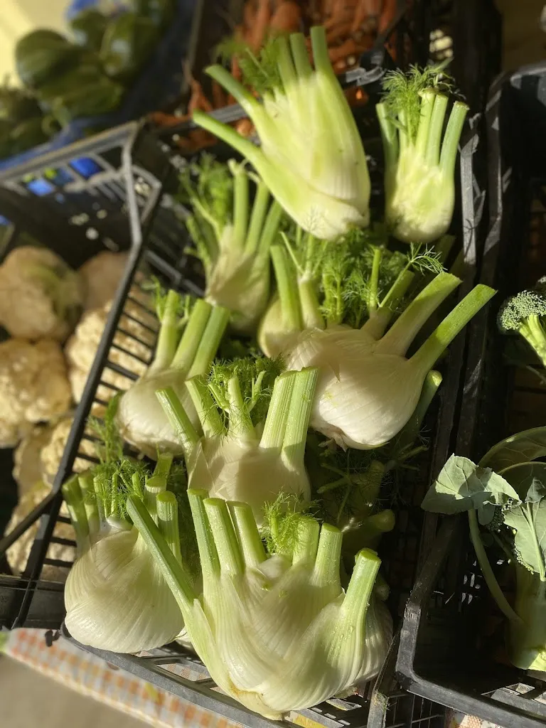 Menu_Agriturismo Il Contadino_Sairano_image_3