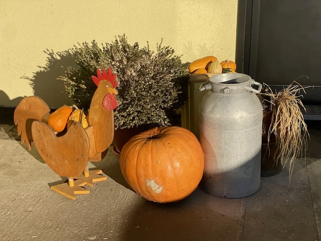 Cri_Agriturismo Il Contadino_Sairano_review