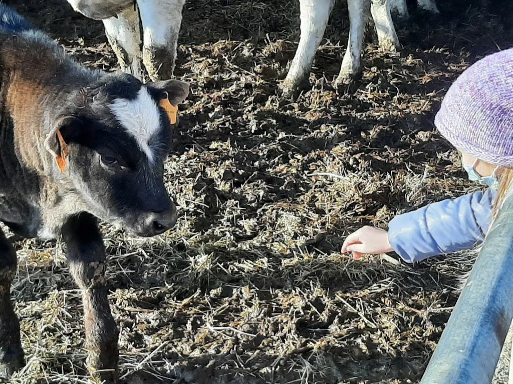 Agriturismo Il Contadino_Sairano_slider_image_3