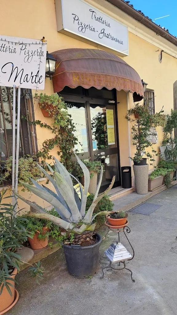 Anna Maria Balotta_Trattoria da Marte_San Benedetto Po_review