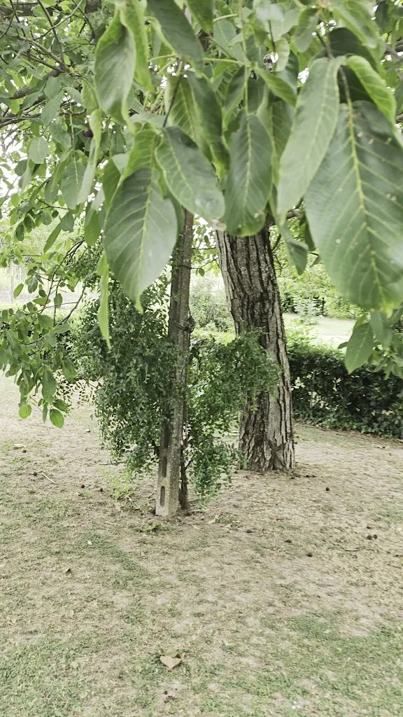 Davide B._Ristorante Gorgo Del Po_San Benedetto Po_review