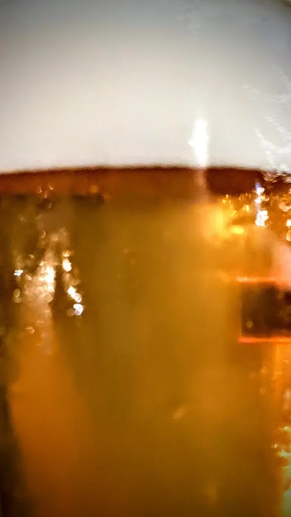 Walter Besutti_Civico103_San Benedetto Po_recensione