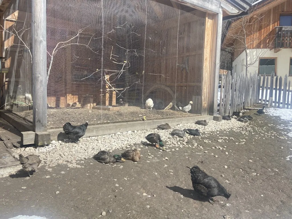 Danielle Martin_Restaurant Bar Konditorei Sarè_San Cassiano_review