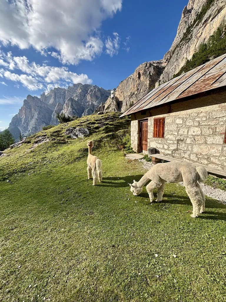 Brendan Hall_Scotoni Hütte_San Cassiano_review