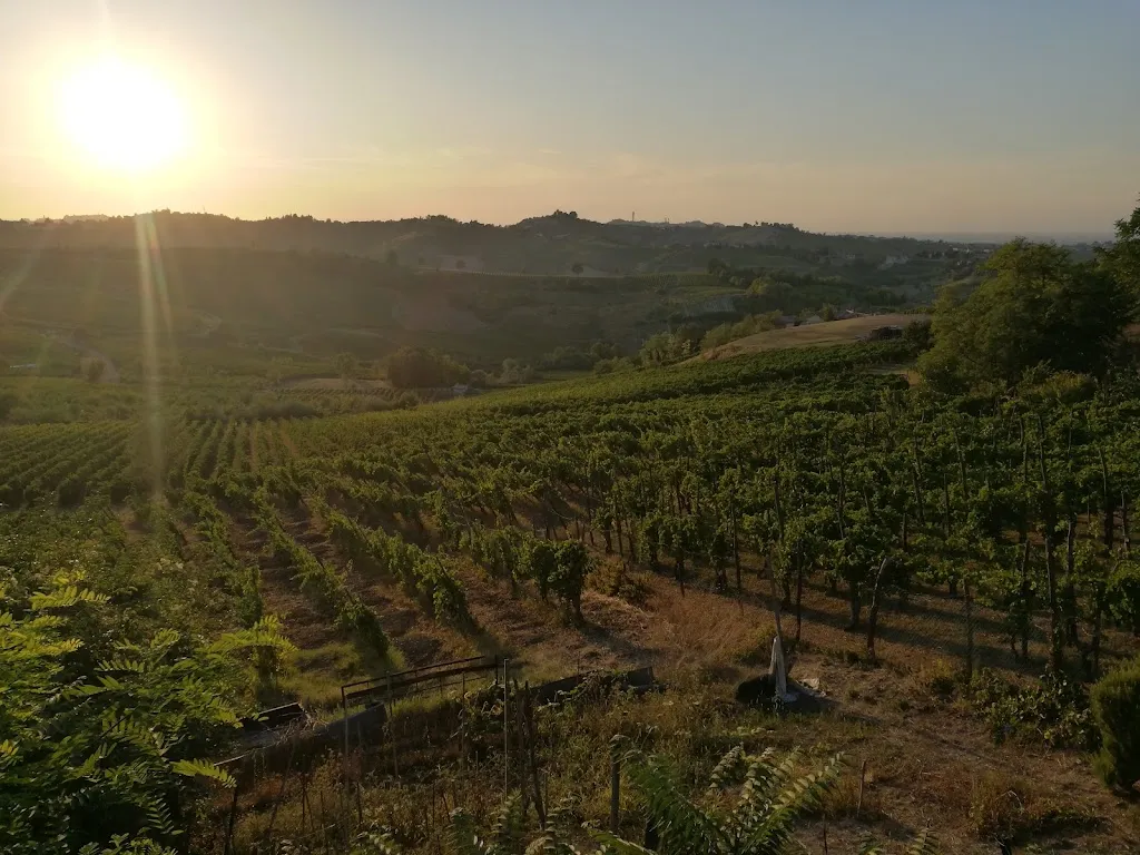 Trattoria Fugazza_San Damiano al Colle_slider_image_3