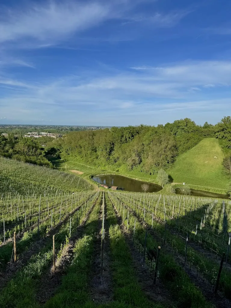 Brandy_Azienda Agricola Nettare dei Santi di Riccardi Gianenrico_San Colombano al Lambro_review