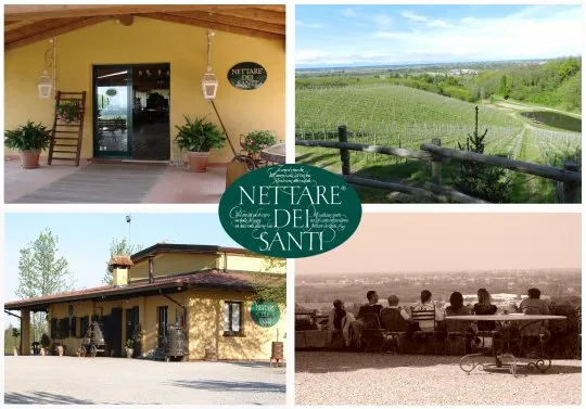 Azienda Agricola Nettare dei Santi di Riccardi Gianenrico restaurant in San Colombano al Lambro