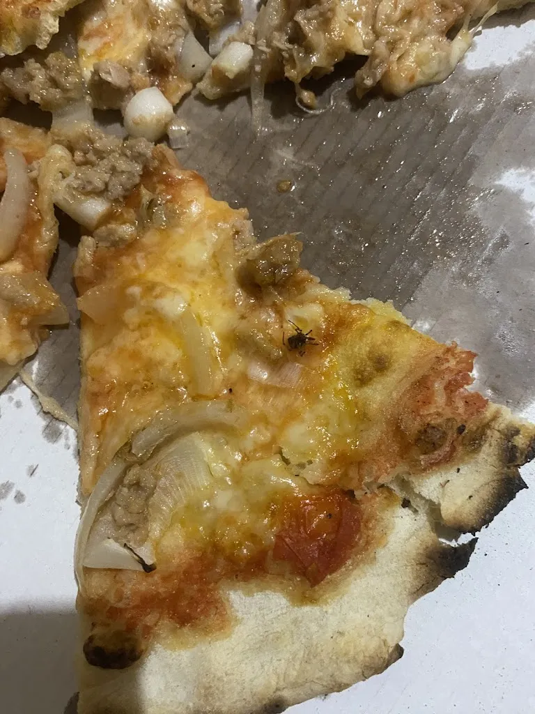 Eleonora Sciannamea_Carillon_San Colombano al Lambro_review