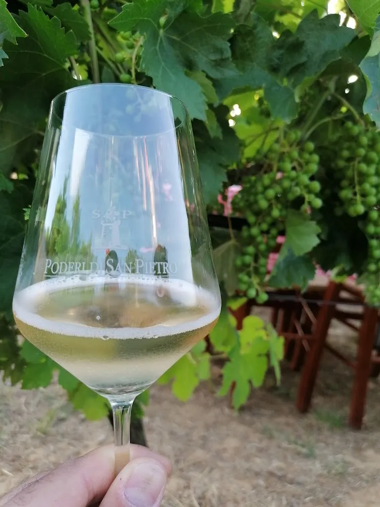 Menu_Aperivigna Poderi di San Pietro_San Colombano al Lambro_image_2