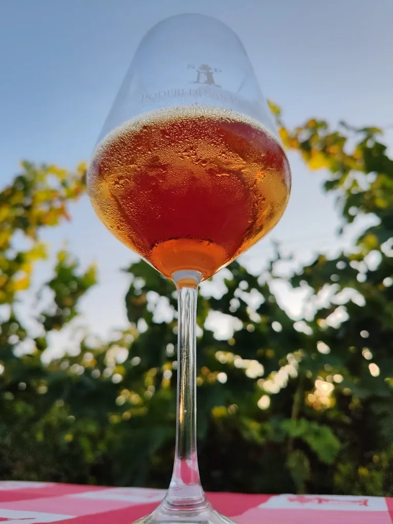 Menu_Aperivigna Poderi di San Pietro_San Colombano al Lambro_image_5