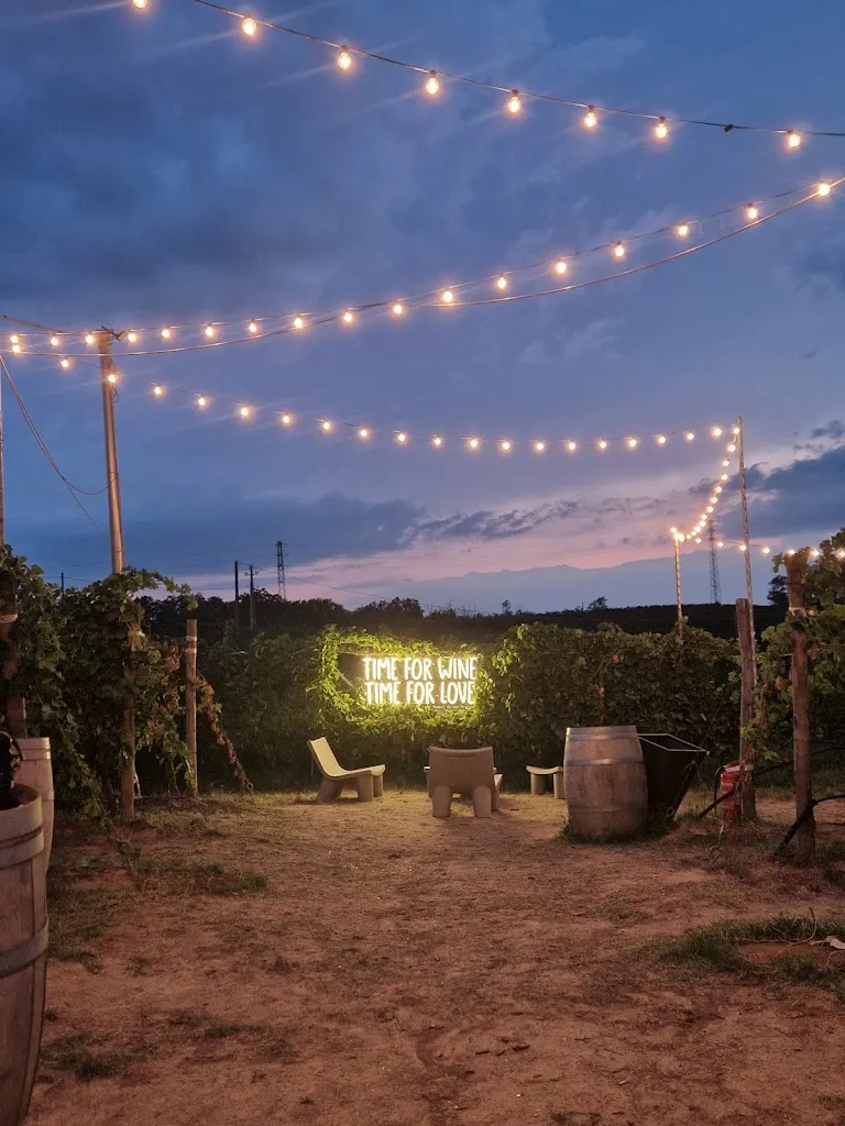 Aperivigna Poderi di San Pietro_San Colombano al Lambro_slider_image_2