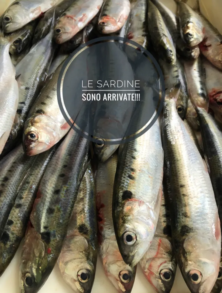 Menu_Ristorante Da Osvaldo_San Felice del Benaco_image_5